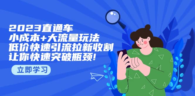 2023直通小成本+大流量玩法，低价快速引流拉新收割，让你快速突破瓶颈-时光资源网