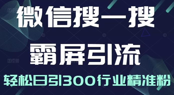 微信搜一搜霸屏引流课，打造被动精准引流系统，轻松日引300行业精准粉【无水印】-时光资源网