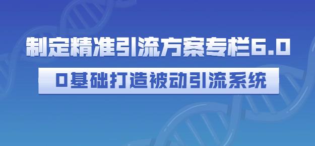 制定精准引流方案专栏6.0，0基础打造被动引流系统-时光资源网