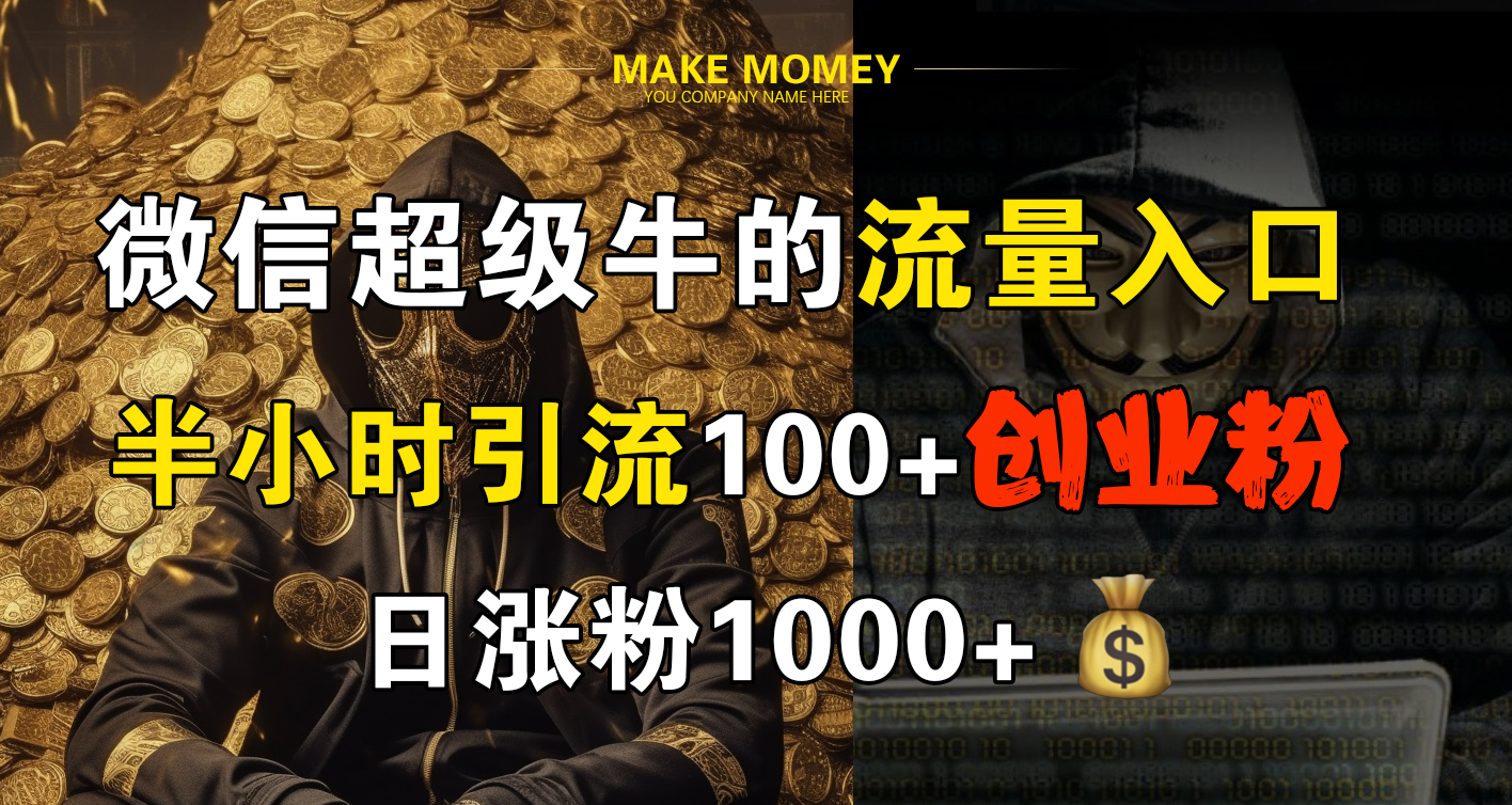 微信超级牛的流量入口，半小时引流100+创业粉，日涨粉1000+-时光资源网