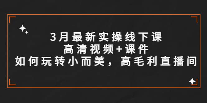 3月最新实操线下课高清视频+课件，如何玩转小而美，高毛利直播间-时光资源网