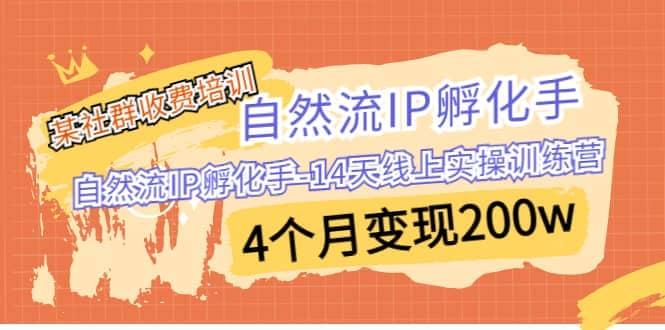 某社群收费培训：自然流IP 孵化手-14天线上实操训练营 4个月变现200w-时光资源网