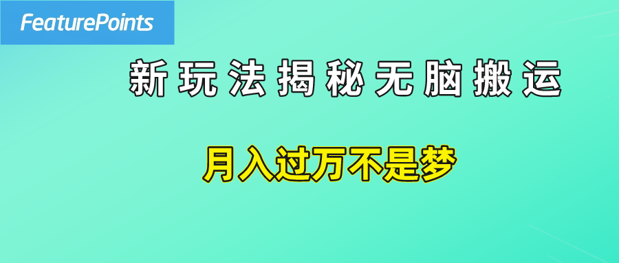 简单操作，每天50美元收入，搬运就是赚钱的秘诀！-时光资源网