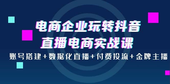 电商企业玩转抖音直播电商实战课：账号搭建+数据化直播+付费投流+金牌主播-时光资源网