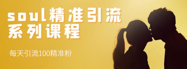 soul精准引流系列课程，每天引流100精准粉-时光资源网