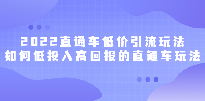 2022直通车低价引流玩法，教大家如何低投入高回报的直通车玩法-时光资源网