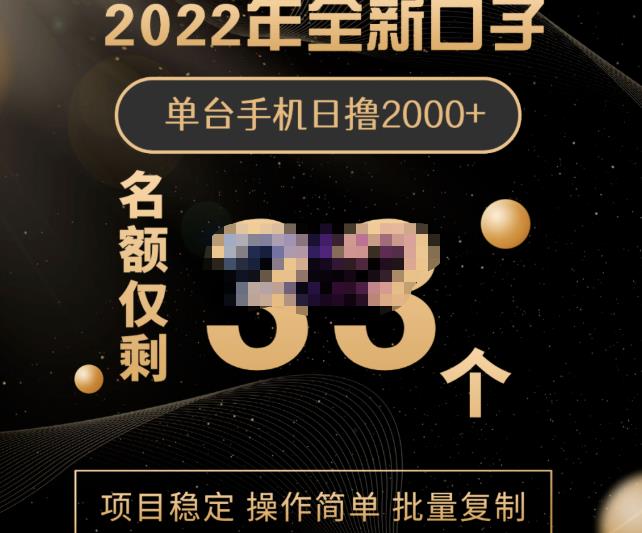 2022年全新口子，手机批量搬砖玩法，一部手机日撸2000+-时光资源网