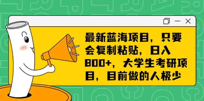 最新蓝海项目，只要会复制粘贴，日入800+，大学生考研项目，目前做的人极少-时光资源网