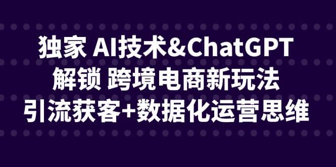 独家 AI技术ChatGPT解锁 跨境电商新玩法，引流获客+数据化运营思维-时光资源网