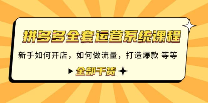 拼多多全套运营系统课程：新手如何开店 如何做流量 打造爆款 等等 全部干货-时光资源网
