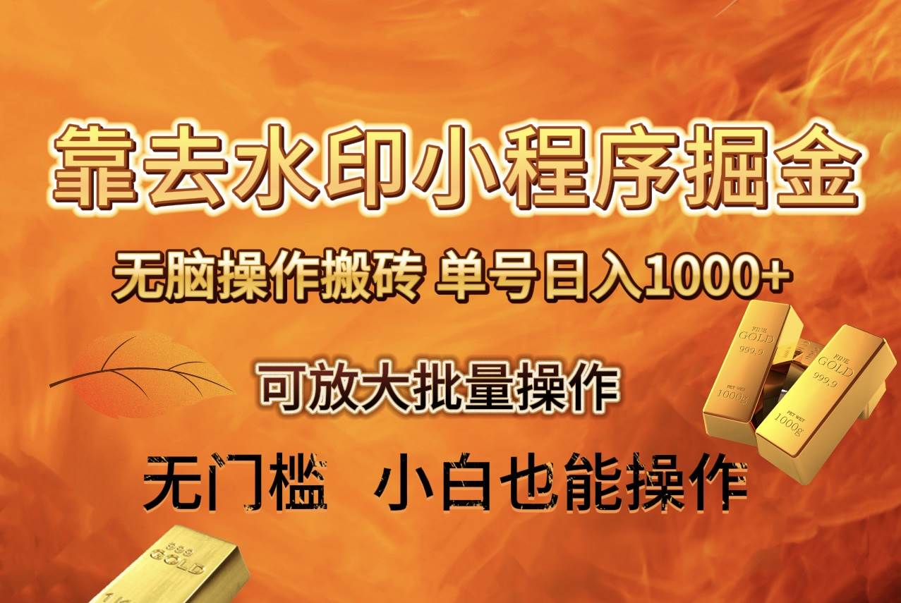 去水印小程序+拼多多 无脑搬砖 ，单号日入1000+ 保姆级教程 可放大批量操作-时光资源网