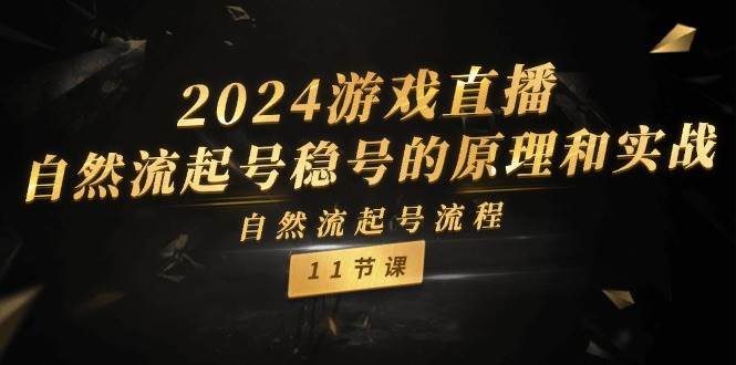 2024游戏直播-自然流起号稳号的原理和实战，自然流起号流程（11节）-时光资源网