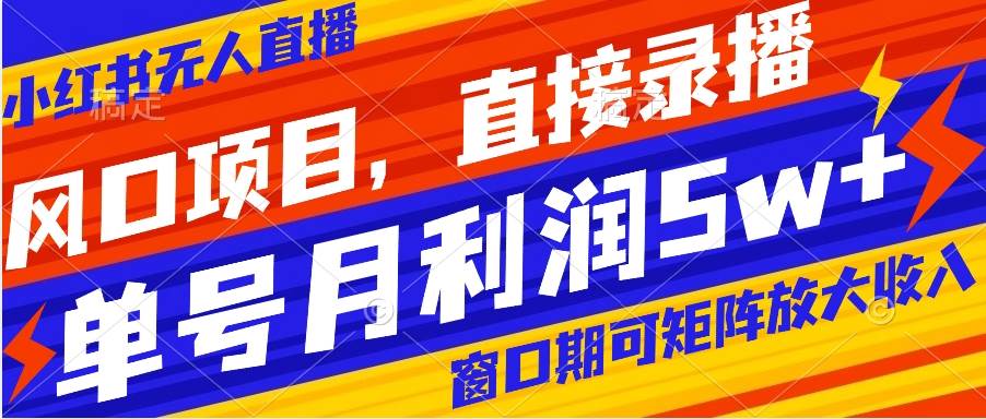 风口项目，小红书无人直播带货，直接录播，可矩阵，月入5w+-时光资源网