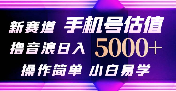 抖音不出境直播【手机号估值】最新撸音浪，日入5000+，简单易学，适合…-时光资源网