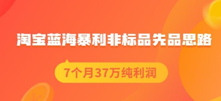 盗坤淘宝蓝海暴利非标品先品思路，7个月37万纯利润，压箱干货分享！【付费文章】-时光资源网