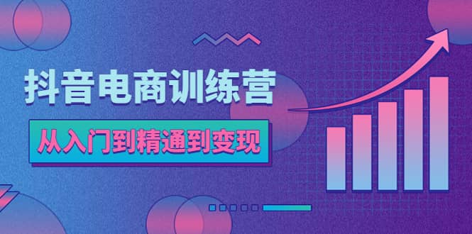 抖音电商训练营：从入门到精通，从账号定位到流量变现，抖店运营实操-时光资源网