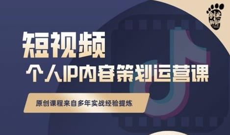 抖音短视频个人ip内容策划实操课，真正做到普通人也能实行落地-时光资源网