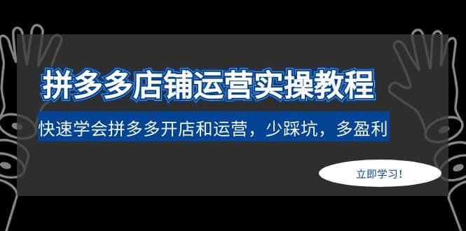 拼多多店铺运营实操教程：快速学会拼多多开店和运营，少踩坑，多盈利-时光资源网