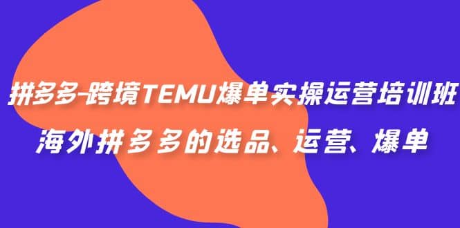 拼多多-跨境TEMU爆单实操运营培训班，海外拼多多的选品、运营、爆单-时光资源网