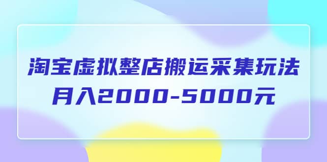 淘宝虚拟整店搬运采集玩法分享课：月入2000-5000元（5节课）-时光资源网