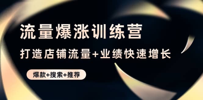 流量爆涨训练营：打造店铺流量+业绩快速增长 (爆款+搜索+推荐)-时光资源网