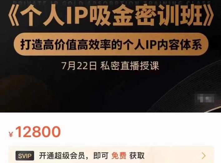 个人IP吸金密训班，打造高价值高效率的个人IP内容体系（价值12800元）-时光资源网