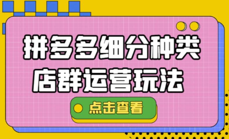拼多多细分种类店群运营玩法3.0，11月最新玩法，小白也可以操作-时光资源网