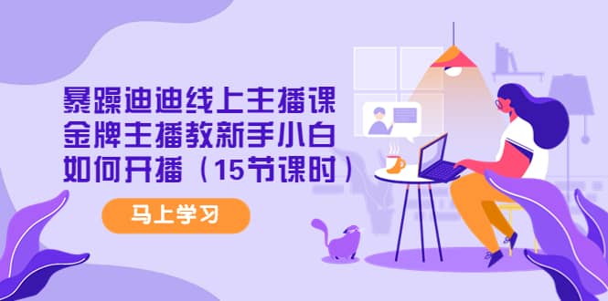 暴躁迪迪线上主播课，金牌主播教新手小白如何开播（15节课时）-时光资源网