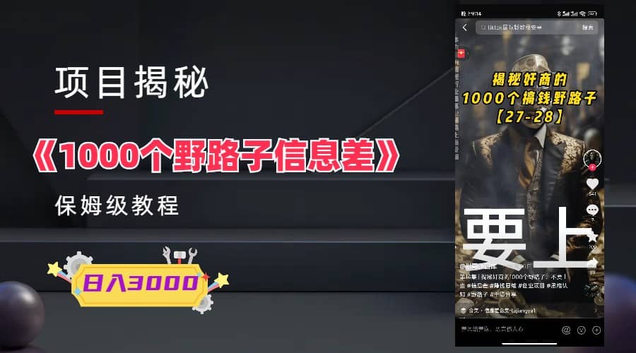 1000个野路子信息差保姆式教程-单日变现3000+的玩法解密-时光资源网