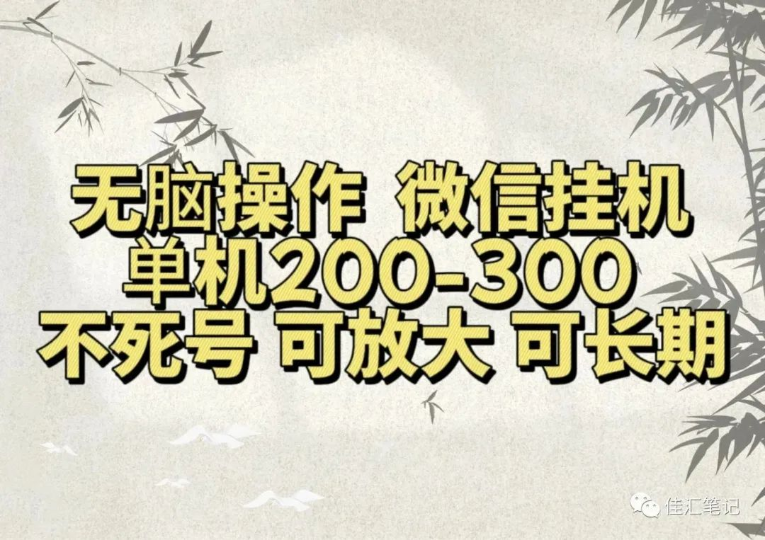 无脑操作微信视频号挂机单机200-300一天，不死号，可放大，工作室实测-时光资源网