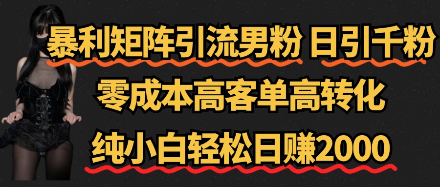 暴利矩阵引流男粉（日引千粉），零成本高客单高转化，纯小白轻松日赚2000+-时光资源网