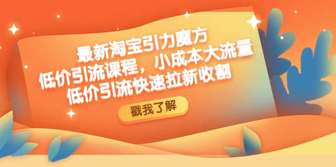 最新淘宝引力魔方低价引流实操：小成本大流量-时光资源网