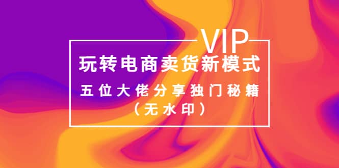 某收费培训：玩转电商卖货新模式，五位大佬分享独门秘籍（无水印）-时光资源网