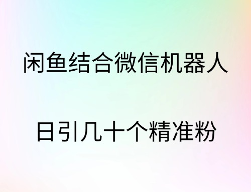 闲鱼结合微信机器人，日引几十个精准粉-时光资源网