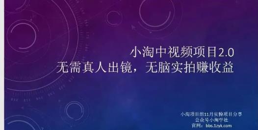 小淘项目组网赚永久会员，绝对是具有实操价值的，适合有项目做需要流程【持续更新】-时光资源网