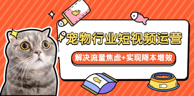 宠物/行业短视频运营 流量增长的一层窗户纸 解决流量焦虑+实现降本增效-时光资源网
