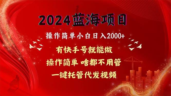 2024蓝海项目，网盘拉新，操作简单小白日入2000+，一键托管代发视频，…-时光资源网