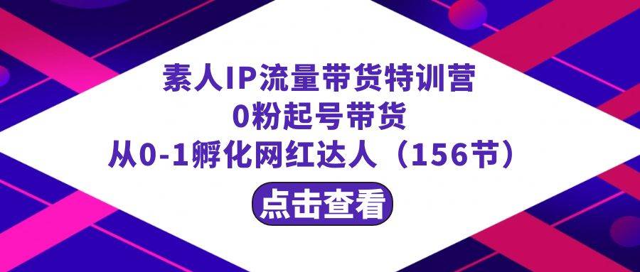 繁星·计划素人IP流量带货特训营：0粉起号带货 从0-1孵化网红达人（156节）-时光资源网