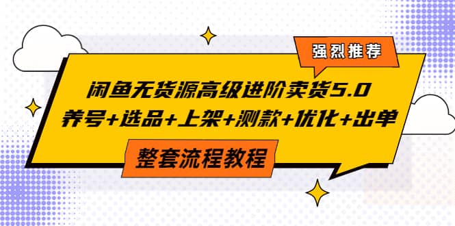 闲鱼无货源高级进阶卖货5.0，养号+选品+上架+测款+优化+出单整套流程教程-时光资源网
