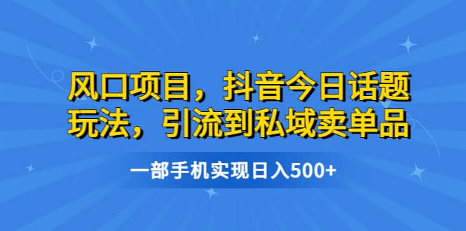 风口项目，抖音今日话题玩法，引流到私域卖单品，一部手机实现日入500+-时光资源网