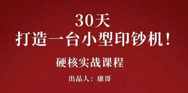康哥30天打造一台小型印钞机：躺赚30万的项目完整复盘（视频教程）-时光资源网