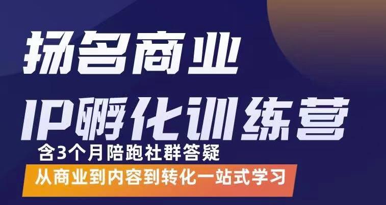 杨名商业IP孵化训练营，从商业到内容到转化一站式学 价值5980元-时光资源网