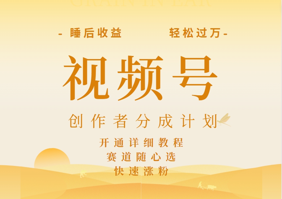 详解视频号创作者分成计划，暴力起号，可同步多平台，实现睡后收入2W+，看懂即可操作！-时光资源网