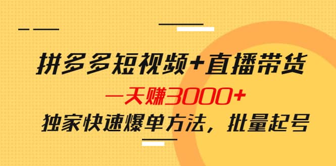 拼多多短视频+直播带货，一天赚3000+独家快速爆单方法，批量起号-时光资源网