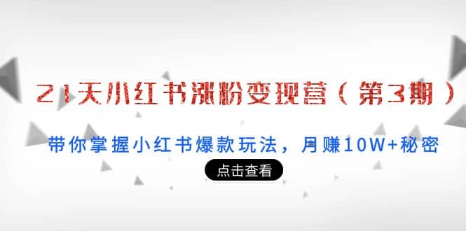 21天小红书涨粉变现营（第3期）：带你掌握小红书爆款玩法，月赚10W+秘密-时光资源网