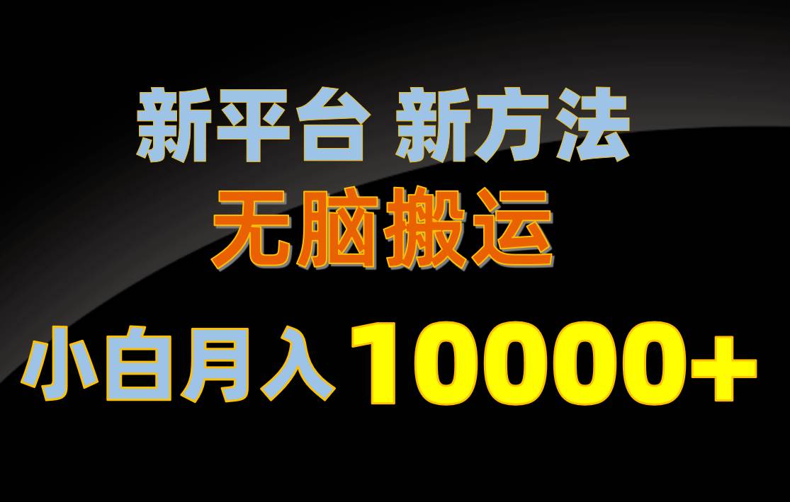 新平台新方法，无脑搬运，月赚10000+，小白轻松上手不动脑-时光资源网