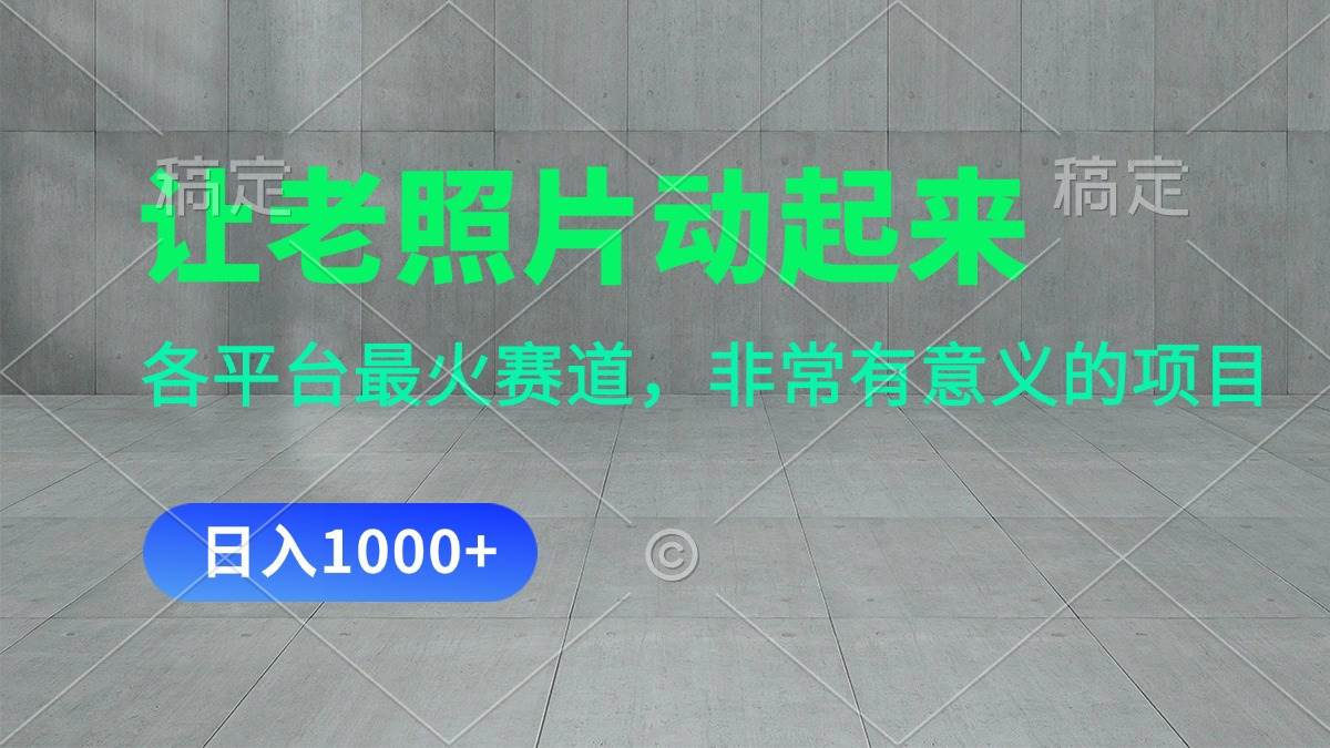 让老照片动起来，一天变现1000+，各平台最火赛道，看完就会-时光资源网