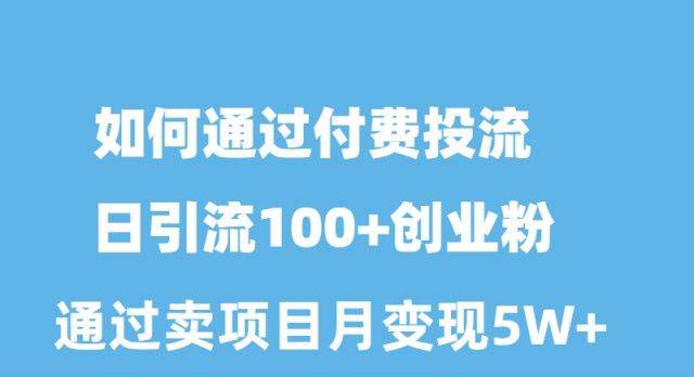 如何通过付费投流日引流100+创业粉月变现5W+-时光资源网