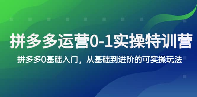 拼多多-运营0-1实操训练营，拼多多0基础入门，从基础到进阶的可实操玩法-时光资源网