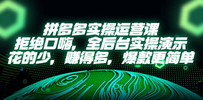 拼多多实操运营课：拒绝口嗨，全后台实操演示，花的少，赚得多，爆款更简单-时光资源网